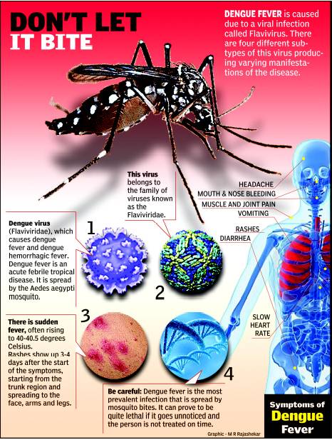 Dengue